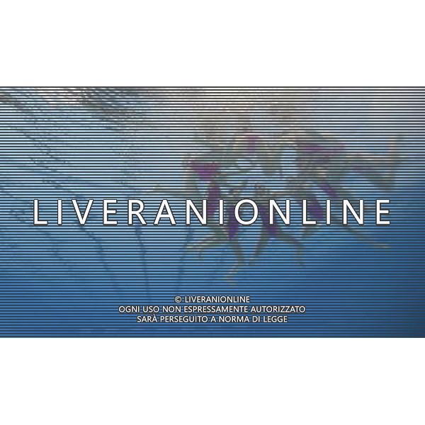 (110719) -- SHANGHAI, July 19, 2011 () -- The Democratic People\'s Republic of Korea\'s team compete in the preliminary of the free combination of synchronized swimming event at the 14th FINA World Championships in Shanghai, east China, July 19, 2011. (/Fei Maohua) (zgp)