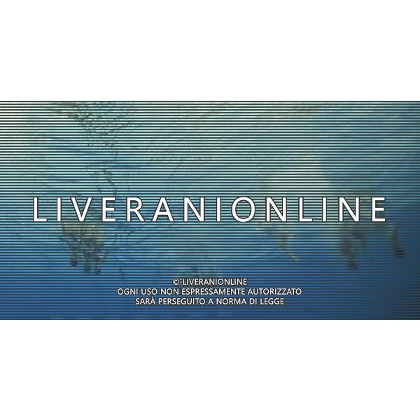 (110719) -- SHANGHAI, July 19, 2011 () -- China\'s team compete in the preliminary of the free combination of synchronized swimming event at the 14th FINA World Championships in Shanghai, east China, July 19, 2011. The Chinese team ranked second with 96.320 points. (/Fei Maohua) (zgp)