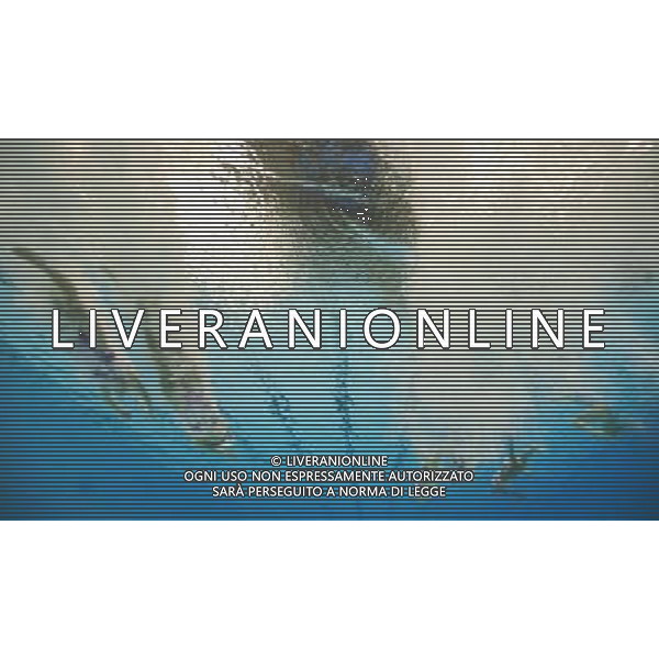 (110719) -- SHANGHAI, July 19, 2011 () -- China\'s team compete in the preliminary of the free combination of synchronized swimming event at the 14th FINA World Championships in Shanghai, east China, July 19, 2011. The Chinese team ranked second with 96.320 points. (/Fei Maohua) (zgp)