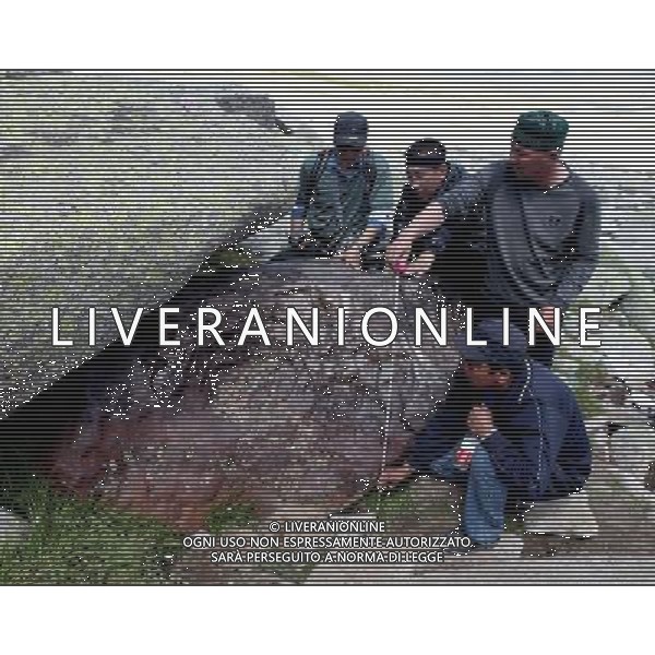 ALTAY, July 18, 2011 Experts make study on an iron meteorite in Altay, northwest China\'s Xinjiang Uygur Autonomous Region, July 17, 2011. The meteorite, which measures 2.2 meters long, 1.25 meters high and weighs at least 25 tonnes above ground, is likely to become the largest one in China after it is totally excavated out, according to experts. (/Shi Zhiqiang) (ry)
