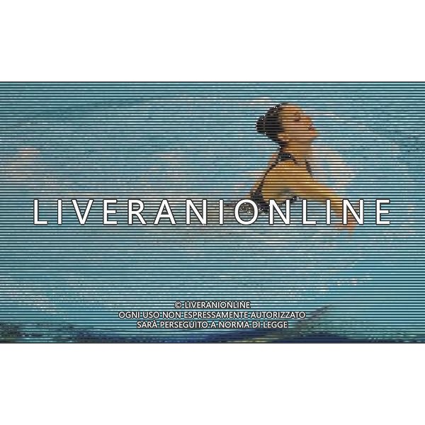 (110720) SHANGHAI, July 20, 2011 () Andrea Fuentes of Spain competes in the final of the solo free synchronized swimming competition at the 14th FINA World Championships in Shanghai, east China, July 20, 2011. Andrea Fuentes won the silver medal with 96.520 points. (/Guo Yong)