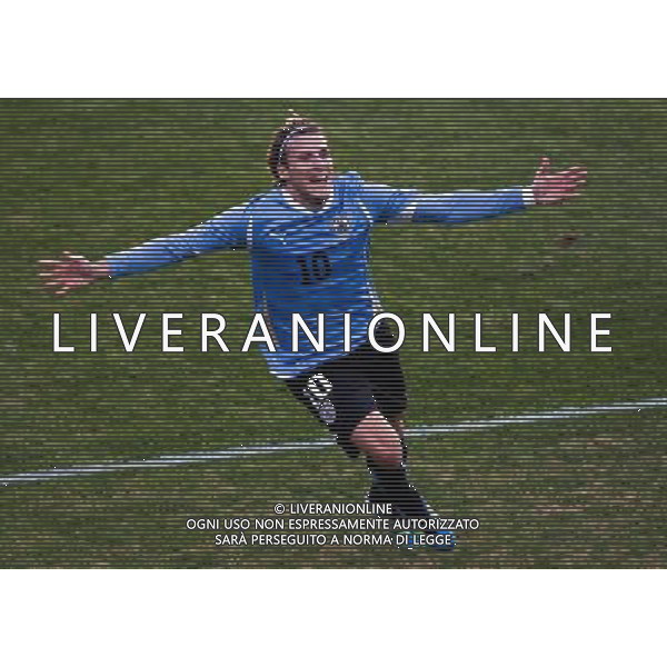 (110724) -- BUENOS AIRES, julio 24, 2011 () -- El jugador de la selecciÛn de f?tbol de Uruguay Diego Forlan, festeja su anotaciÛn ante Paraguay, durante la final de la Copa AmÈrica 2011, celebrada en la ciudad de Buenos Aires, Argentina, el 24 de julio de 2011. (/David de la Paz)