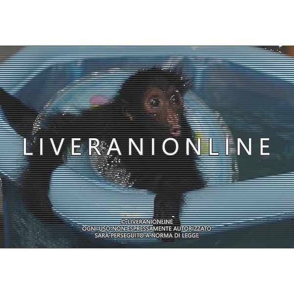 (110727) -- GUANGZHOU, July 27, 2011 () -- Photo taken on July 27, 2011, shows a little spider monkey cools off in water in the Xiangjiang Safari Park in Guangzhou, capital of south China\'s Guangdong Province. (/Liu Dawei) (zy)
