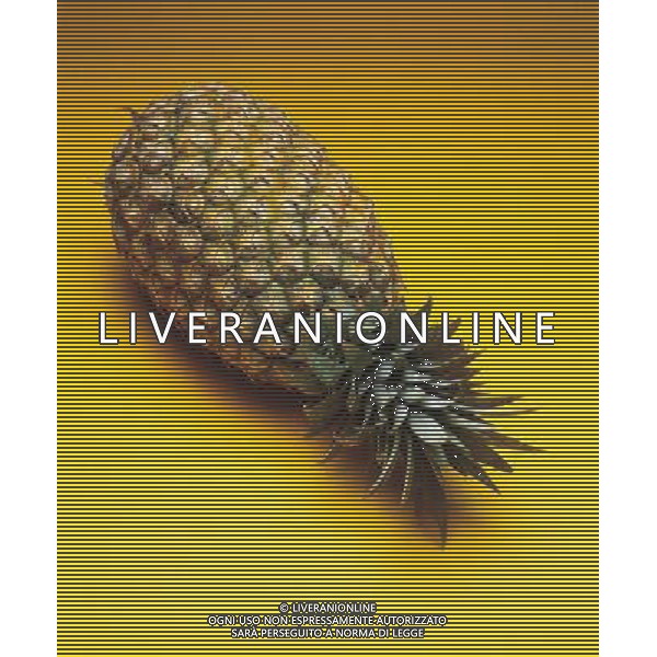 SITUATION ANANAS FRUTTA ESOTICA AGENZIA ALDO LIVERANI IFC