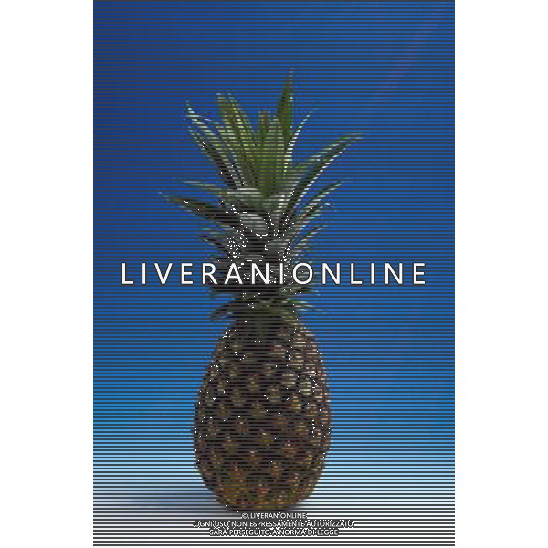 SITUATION ANANAS FRUTTA ESOTICA AGENZIA ALDO LIVERANI IFC