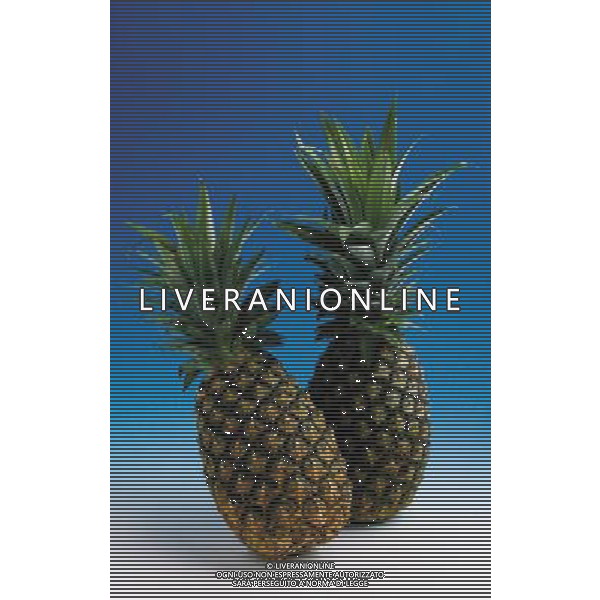 SITUATION ANANAS FRUTTA ESOTICA AGENZIA ALDO LIVERANI IFC