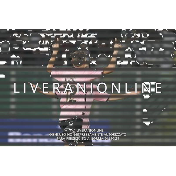 GIUSEPPE SERGI - ALDO LIVERANI 28-7-11 Palermo : palermo - thun europa league 2011-12 Nella foto: ilicic festeggia dopo il gol