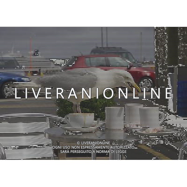 UK SCOTLAND Lerwick -- 28 Jul 2011 -- A flying visit to the cafe...This hungry seagull with a sweet tooth wasted no time in wading into a leftover plate of mashmallows, a chocolate flake and even took a few gulps of milky coffee at the Pirrie Cafe in Lerwick in the Shetland Islands of Scotland UK -- Picture by Jonathan Mitchell *One of a set
