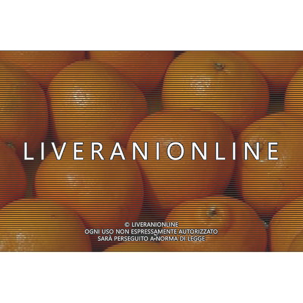 SITUATION ARANCE FRUTTA AGENZIA ALDO LIVERANI IFC
