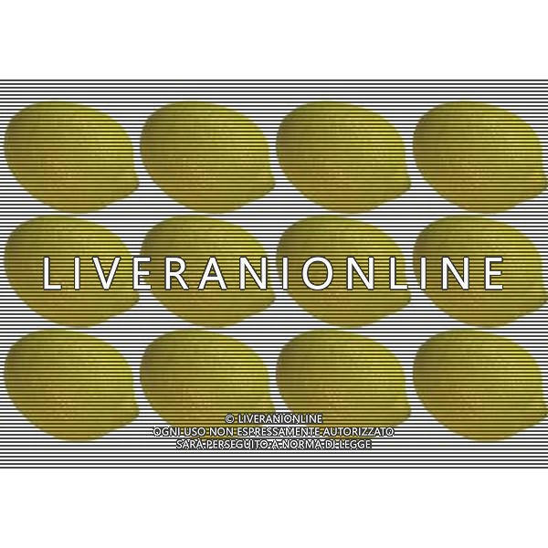 SITUATION LIMONI FRUTTA AGENZIA ALDO LIVERANI IFC