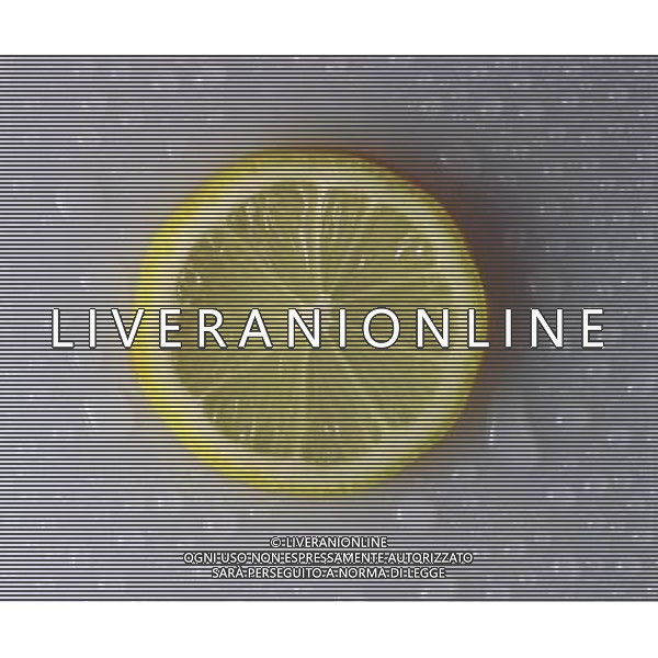 SITUATION LIMONI FRUTTA AGENZIA ALDO LIVERANI IFC