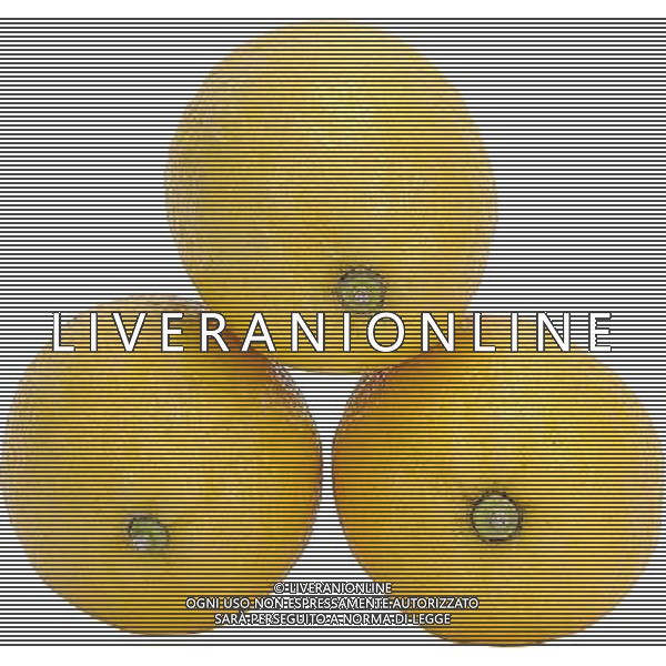 SITUATION LIMONI FRUTTA AGENZIA ALDO LIVERANI IFC