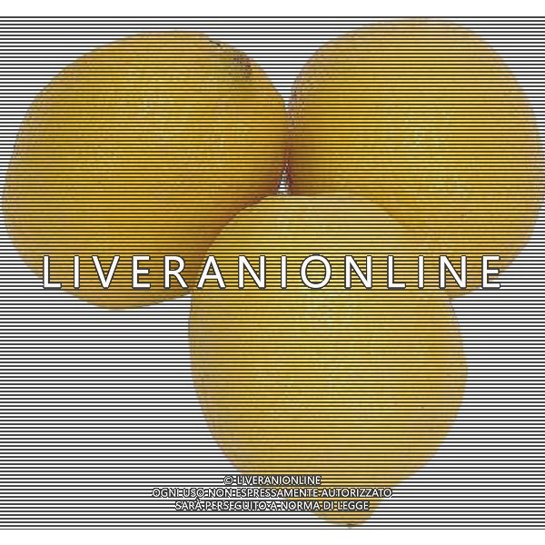 SITUATION LIMONI FRUTTA AGENZIA ALDO LIVERANI IFC