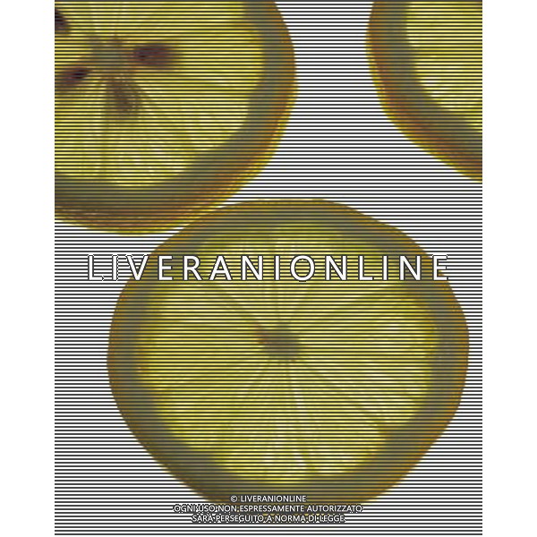 SITUATION LIMONI FRUTTA AGENZIA ALDO LIVERANI IFC