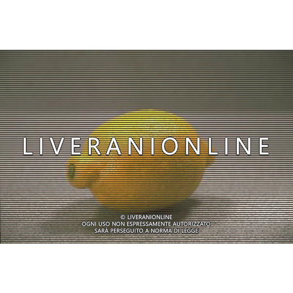 SITUATION LIMONI FRUTTA AGENZIA ALDO LIVERANI IFC