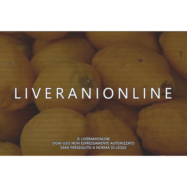 SITUATION LIMONI FRUTTA AGENZIA ALDO LIVERANI IFC