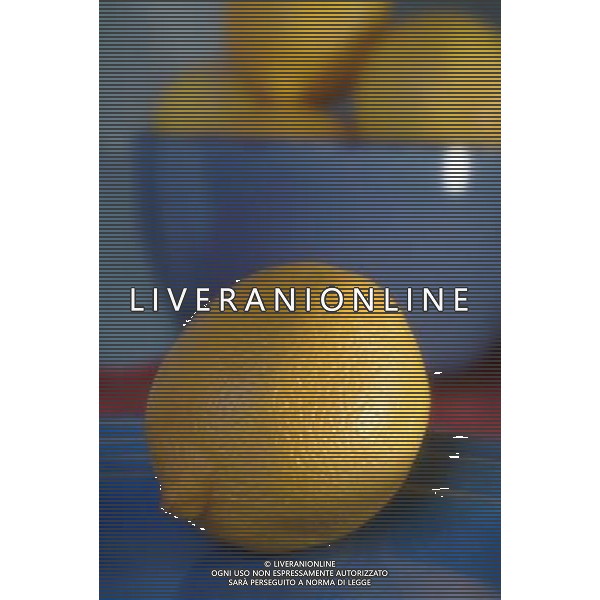 SITUATION LIMONI FRUTTA AGENZIA ALDO LIVERANI IFC