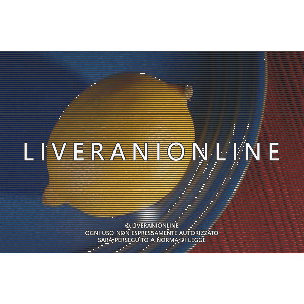 SITUATION LIMONI FRUTTA AGENZIA ALDO LIVERANI IFC