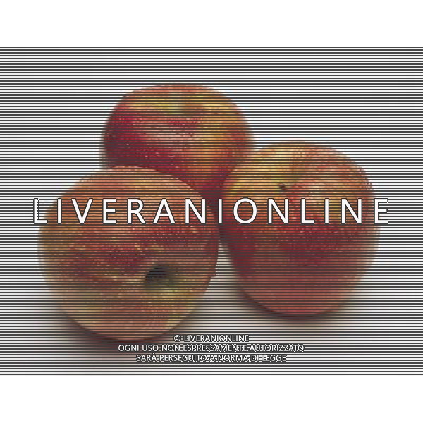SITUATION MELE FRUTTA AGENZIA ALDO LIVERANI IFC