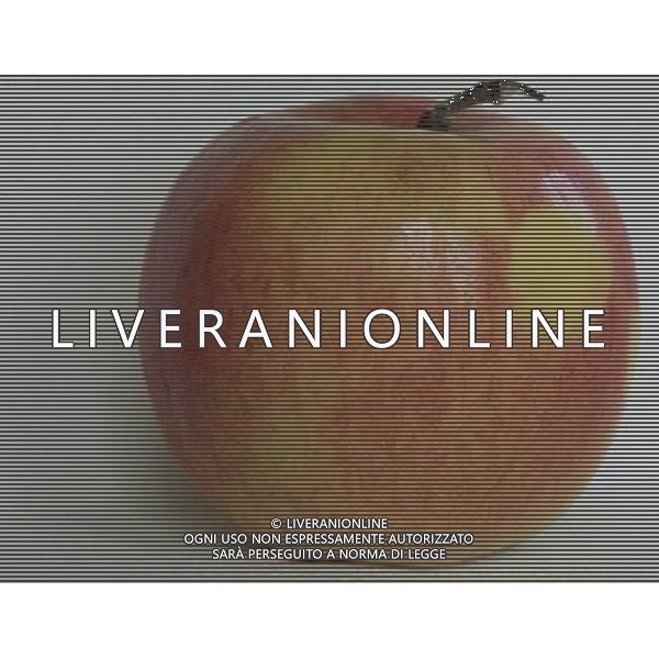 SITUATION MELE FRUTTA AGENZIA ALDO LIVERANI IFC
