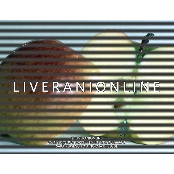 SITUATION MELE FRUTTA AGENZIA ALDO LIVERANI IFC