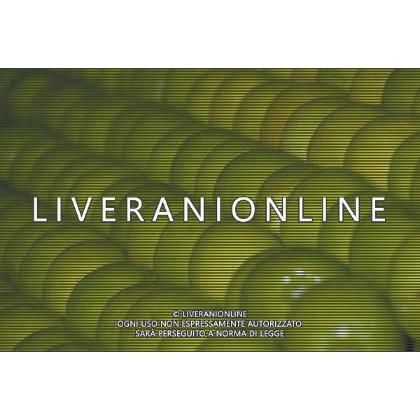 SITUATION MELE FRUTTA AGENZIA ALDO LIVERANI IFC