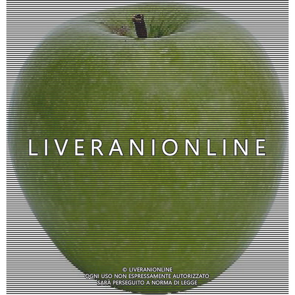 SITUATION MELE FRUTTA AGENZIA ALDO LIVERANI IFC
