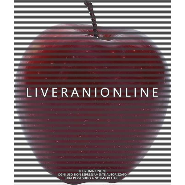 SITUATION MELE FRUTTA AGENZIA ALDO LIVERANI IFC