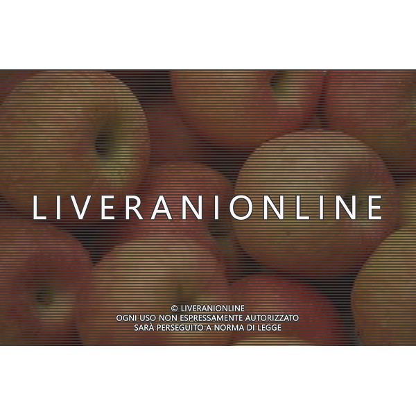 SITUATION MELE FRUTTA AGENZIA ALDO LIVERANI IFC