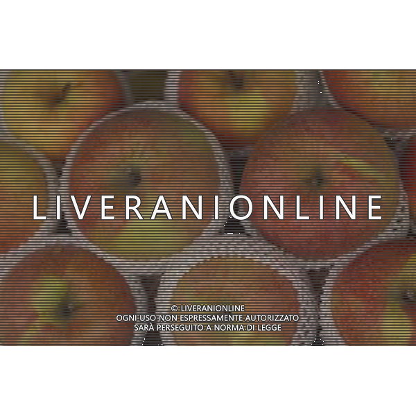 SITUATION MELE FRUTTA AGENZIA ALDO LIVERANI IFC
