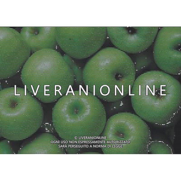SITUATION MELE FRUTTA AGENZIA ALDO LIVERANI IFC