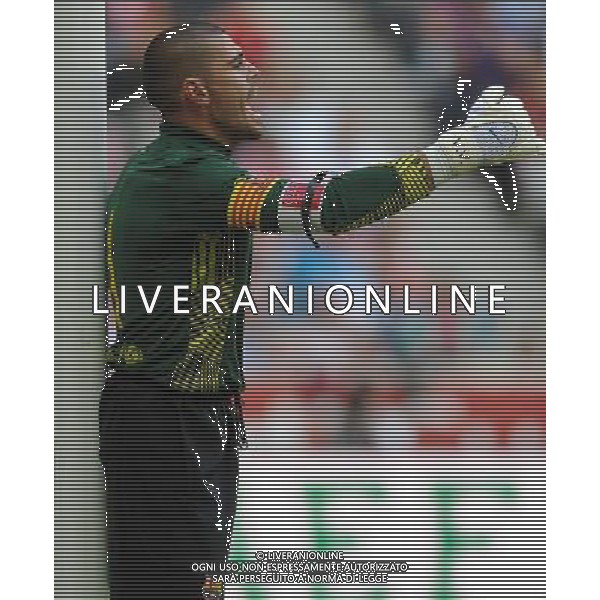 Audi Cup 2011 Bayern Monaco-Barcellona-International Porto Alegre-Milan Monaco Di Baviera (Germania) - 26.07.2011 Barcellona-Internationa di Porto Alegre Nella Foto:Victor Valdes /Ph.Vitez-Ag. Aldo Liverani