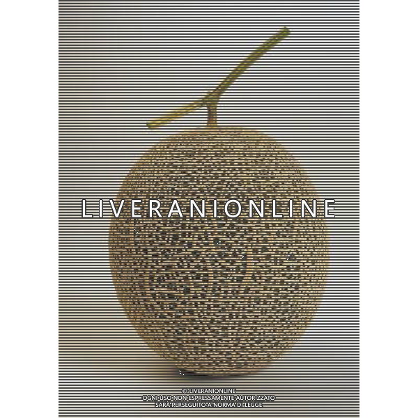 SITUATION MELONE AGENZIA ALDO LIVERANI IFC