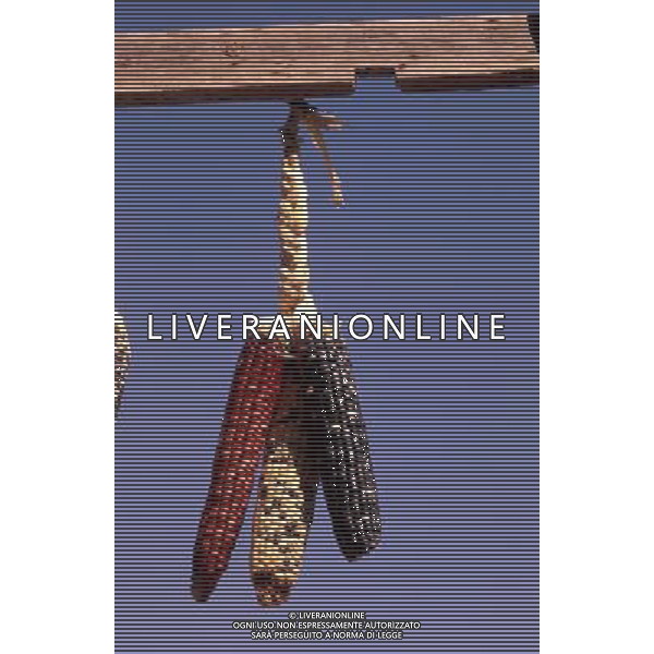 SITUATION MAIS-PANNOCCHIE AGENZIA ALDO LIVERANI IFC