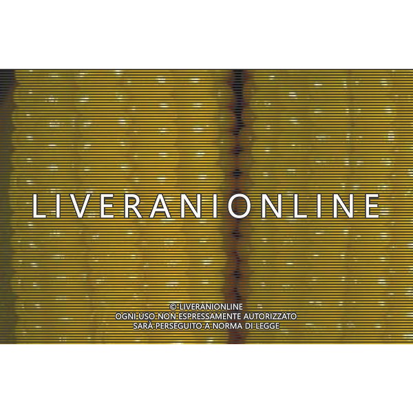 SITUATION MAIS-PANNOCCHIE AGENZIA ALDO LIVERANI IFC