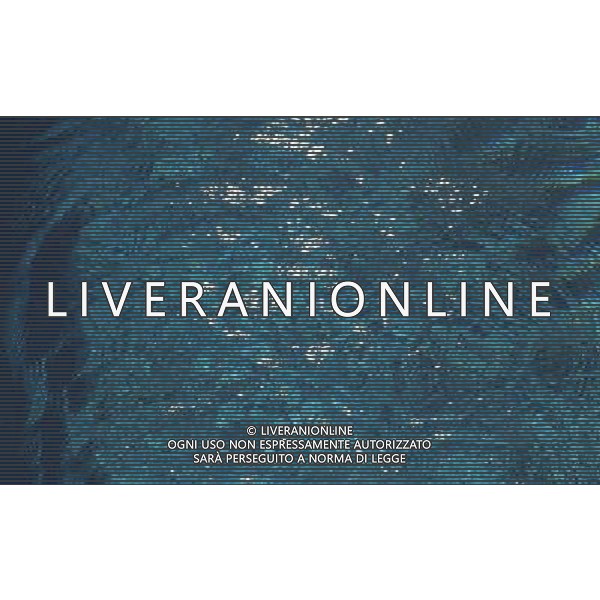 SITUATION ACQUA AGENZIA ALDO LIVERANI IFC