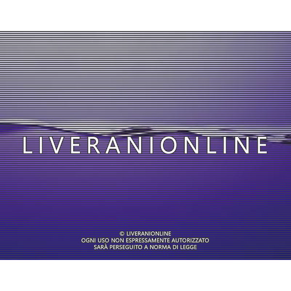 SITUATION ACQUA AGENZIA ALDO LIVERANI IFC