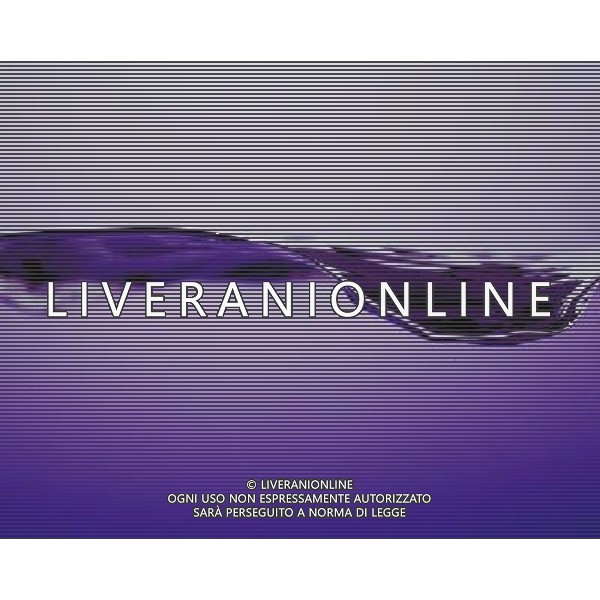 SITUATION ACQUA AGENZIA ALDO LIVERANI IFC