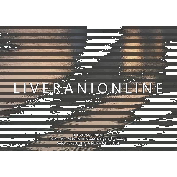 SITUATION ACQUA AGENZIA ALDO LIVERANI IFC