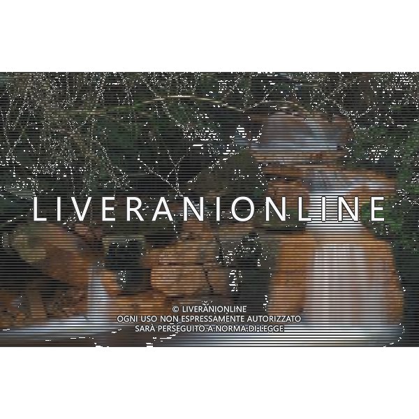 SITUATION ACQUA AGENZIA ALDO LIVERANI IFC