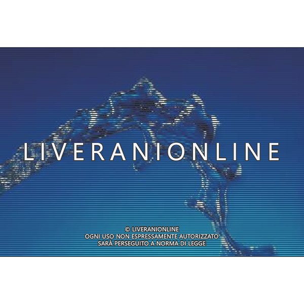 SITUATION ACQUA AGENZIA ALDO LIVERANI IFC