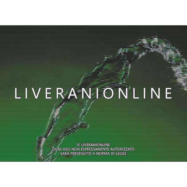 SITUATION ACQUA AGENZIA ALDO LIVERANI IFC