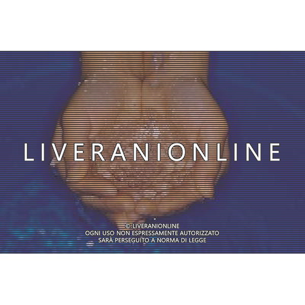 SITUATION ACQUA AGENZIA ALDO LIVERANI IFC