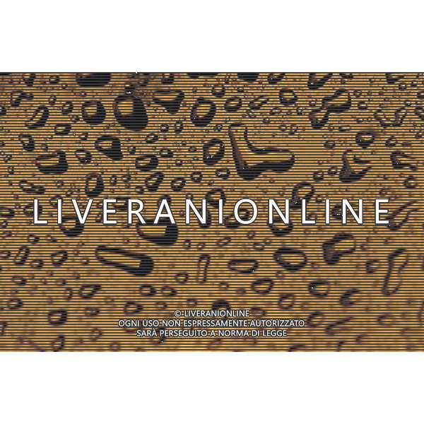 SITUATION ACQUA AGENZIA ALDO LIVERANI IFC