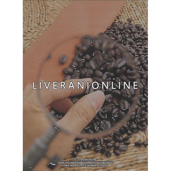 SITUATION CAFFE AGENZIA ALDO LIVERANI