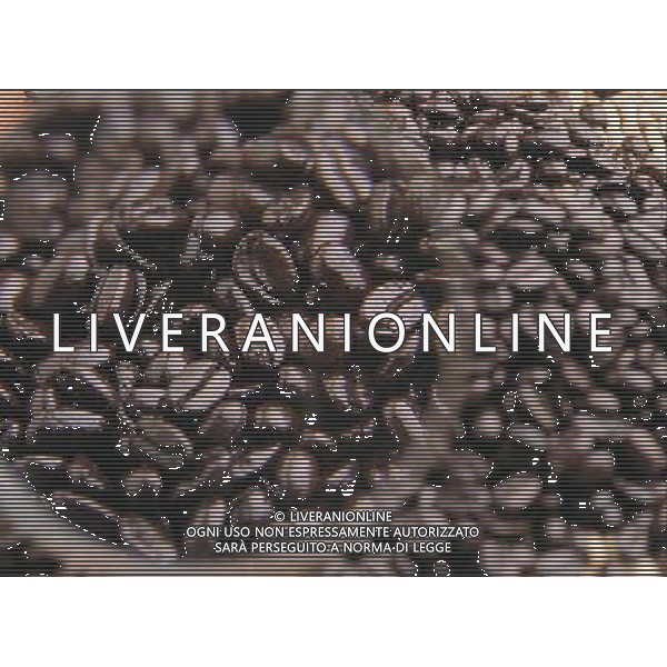SITUATION CAFFE AGENZIA ALDO LIVERANI