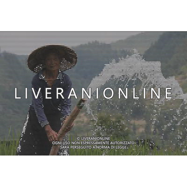 (110730) -- ANSHUN, July 30, 2011 () -- A farmer irrigates field in Ranjia Village of Shanshu Township, southwest China\'s Guizhou Province, July 29, 2011. Twenty-nine cities and counties of the province have been affected by the severe drought since July. (/Chen Xiaolan)(mcg)