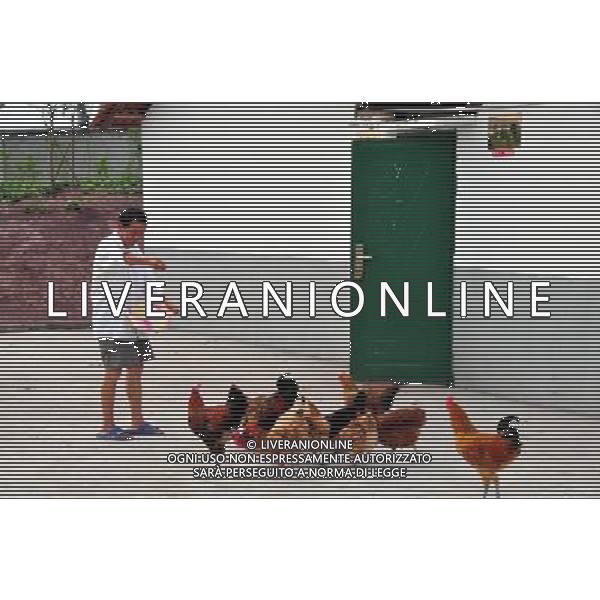 (110730) -- NANCHONG, July 30, 2011 () -- A resident feeds cocks and hens in the Happy Farm of a nursing home in Nanchong, southwest China\'s Sichuan Province, July 29, 2011. To entertain and enrich residents\' daily life, the staff in the Nursing Home of Changle Township built the Happy Farm where the elder can enjoy farming happiness. (/Li Xiangyu) (yby)