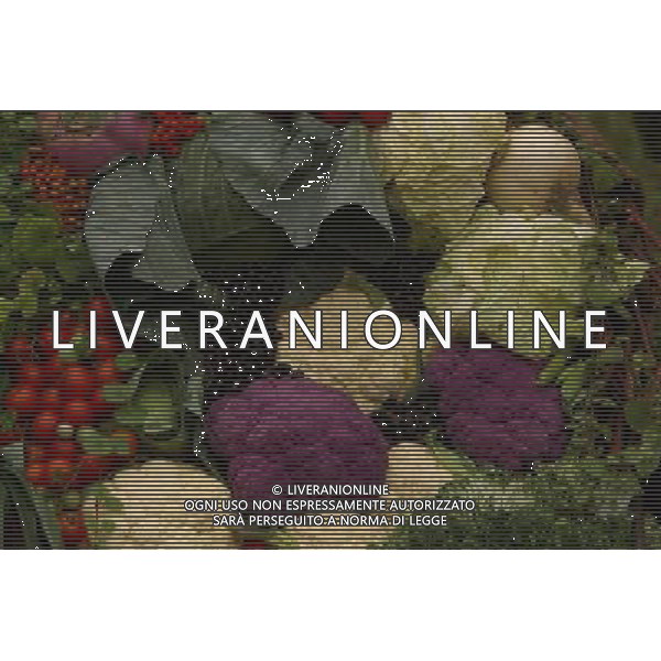 SITUATION CAVOLFIORE AGENZIA ALDO LIVERANI IFC