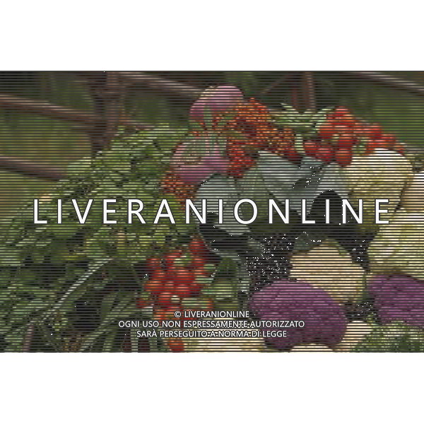 SITUATION CAVOLFIORE VERDE AGENZIA ALDO LIVERANI IFC